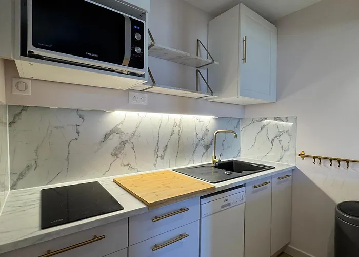 아파트 Renovation 2025 : T1 Bis Dans Ancien Palace Art Deco, Animaux Admis - Fr-1-555-112