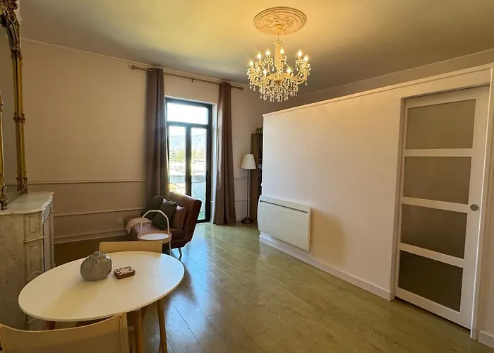 Renovation 2025 : T1 Bis Dans Ancien Palace Art Deco, Animaux Admis - Fr-1-555-112 * 엑스레뱅