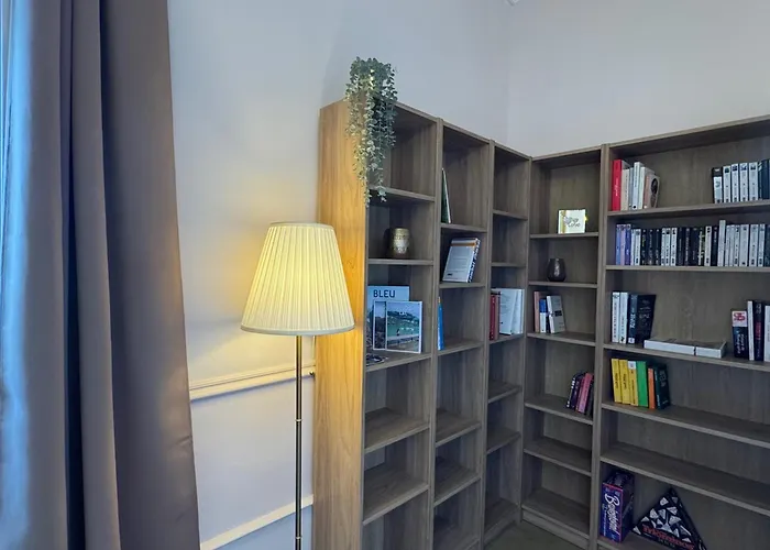 Renovation 2025 : T1 Bis Dans Ancien Palace Art Deco, Animaux Admis - Fr-1-555-112