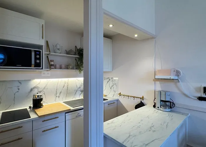 Renovation 2025 : T1 Bis Dans Ancien Palace Art Deco, Animaux Admis - Fr-1-555-112 Appartement Aix-les-Bains