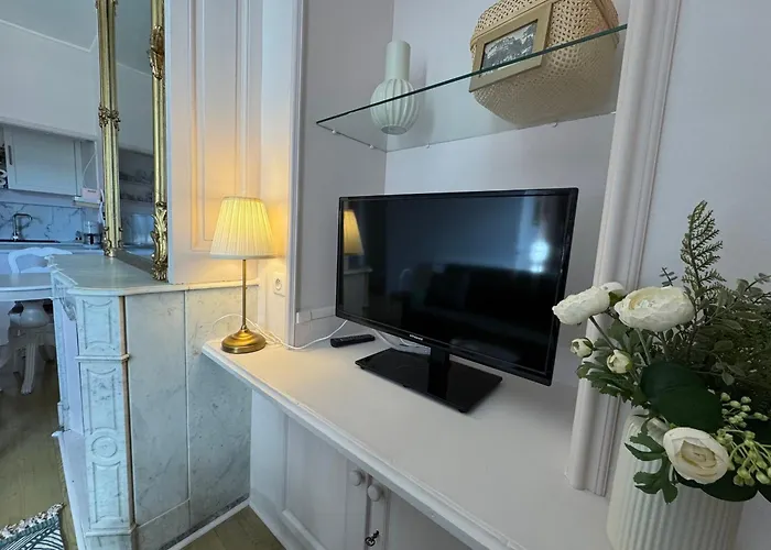 Renovation 2025 : T1 Bis Dans Ancien Palace Art Deco, Animaux Admis - Fr-1-555-112 엑스레뱅