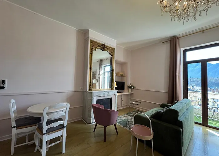 Renovation 2025 : T1 Bis Dans Ancien Palace Art Deco, Animaux Admis - Fr-1-555-112 Appartement *
