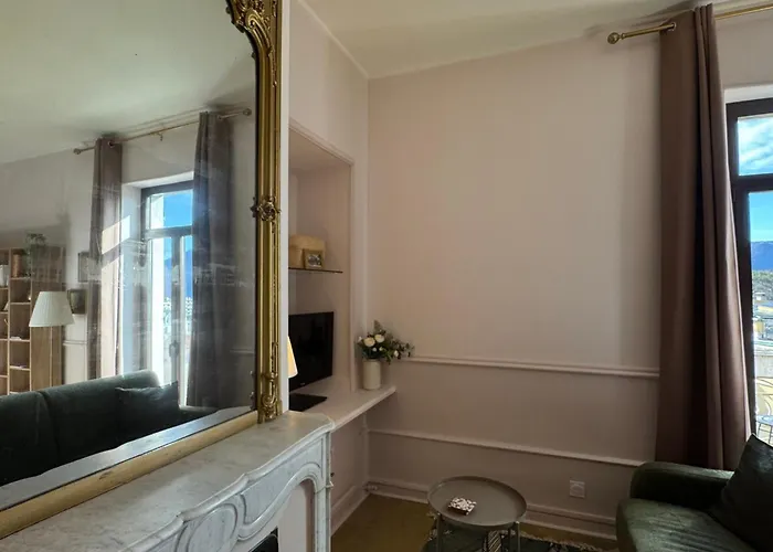 Renovation 2025 : T1 Bis Dans Ancien Palace Art Deco, Animaux Admis - Fr-1-555-112 아파트 *