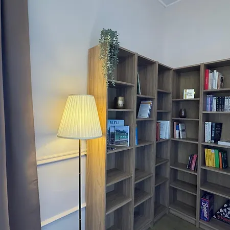 Renovation 2025 : T1 Bis Dans Ancien Palace Art Deco, Animaux Admis - Fr-1-555-112