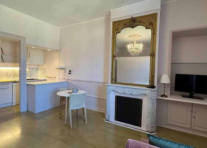 Renovation 2025 : T1 Bis Dans Ancien Palace Art Deco, Animaux Admis - Fr-1-555-112 Apartment